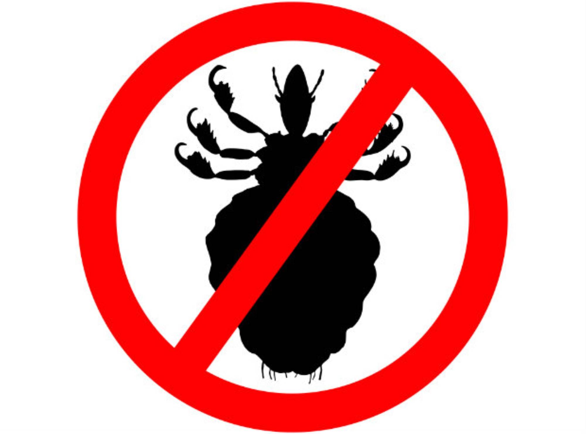 SILENT JUNCTION LICE COMB NIT FLEA CRADLE CAP REMOVER FOR CHILDREN KIDS